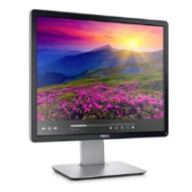 Dell P1917S 19" Flat Panel LED Monitor
